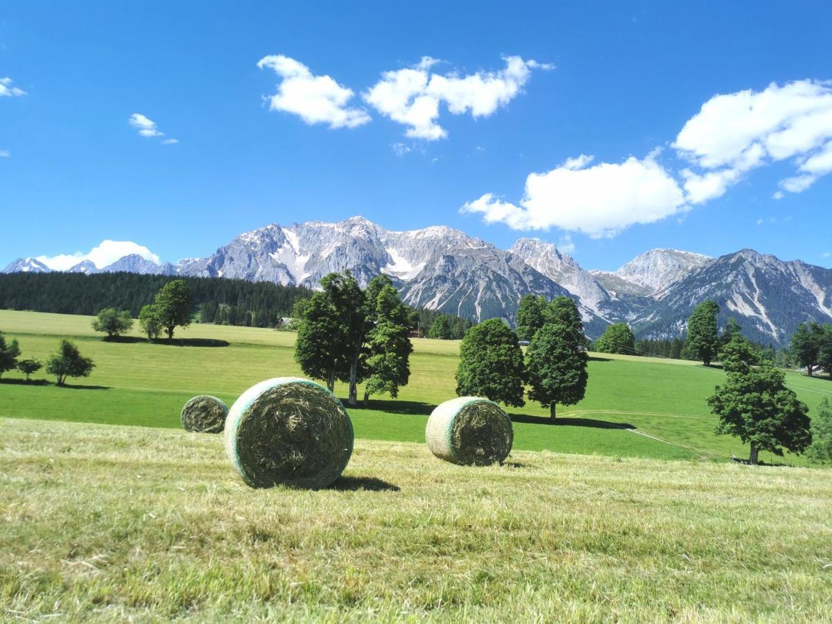 Biobauernhof Brandlhof Lejlighed Ramsau am Dachstein Eksteriør billede