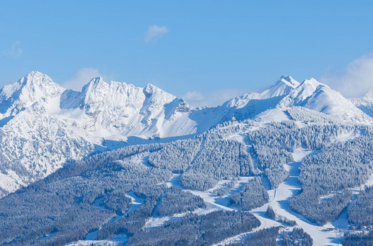 Biobauernhof Brandlhof Lejlighed Ramsau am Dachstein Eksteriør billede