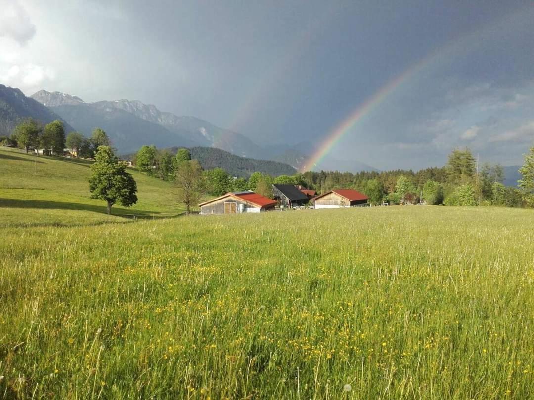 Biobauernhof Brandlhof Lejlighed Ramsau am Dachstein Eksteriør billede