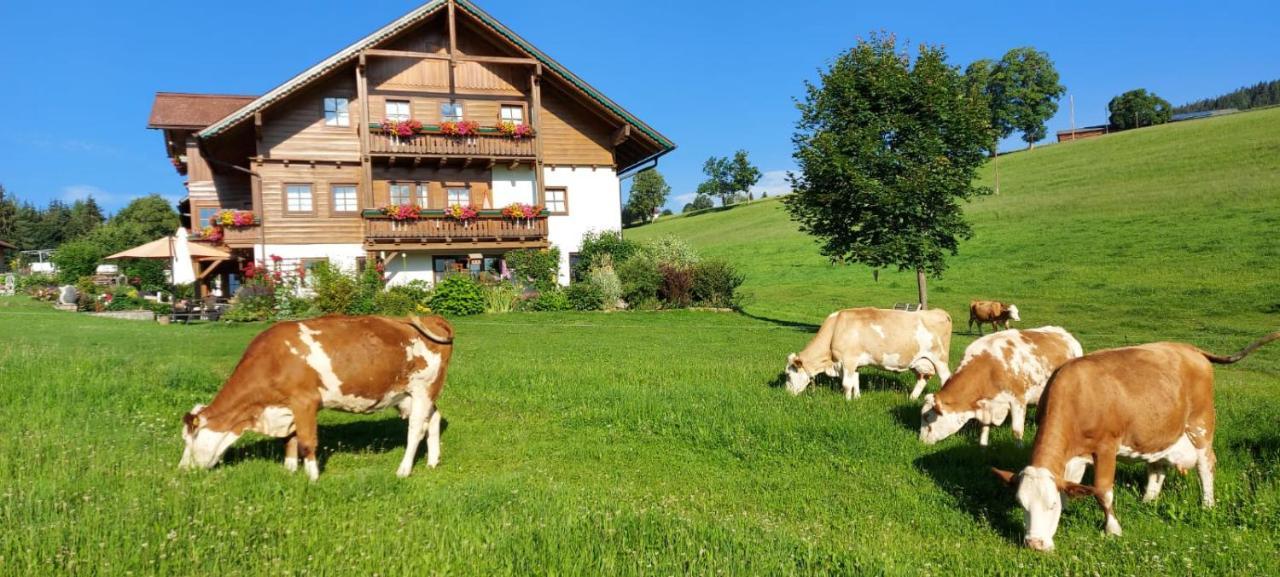 Biobauernhof Brandlhof Lejlighed Ramsau am Dachstein Eksteriør billede