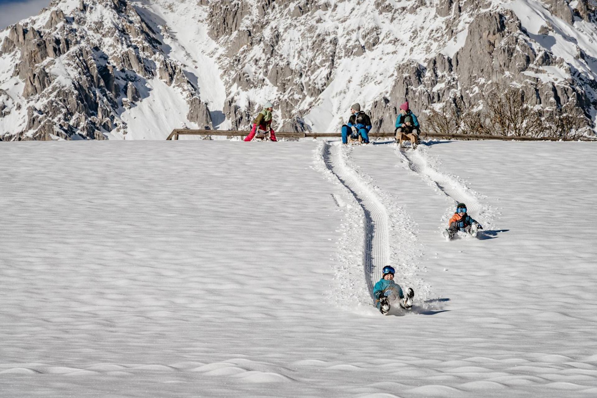 Biobauernhof Brandlhof Lejlighed Ramsau am Dachstein Eksteriør billede