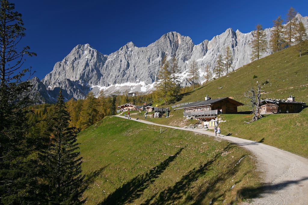 Biobauernhof Brandlhof Lejlighed Ramsau am Dachstein Eksteriør billede